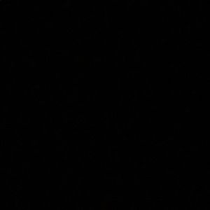 Meet your Posher, Ronny